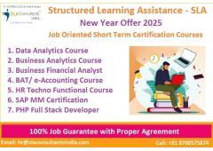 Data Analyst Course in Delhi, 110060. Certification for "Online Data Analyst Course" , 100% Job